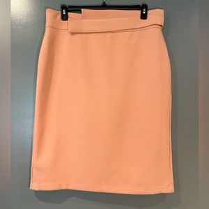 eva mendes for New York & Company Pencil Skirt